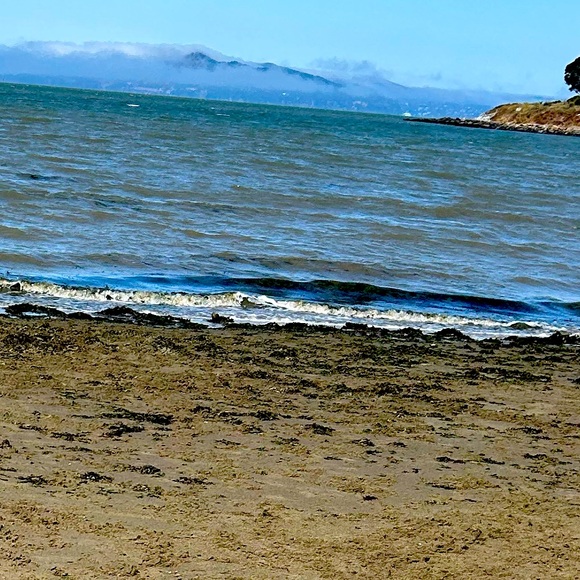 Meet the Posher Other - Meet your Posher, Ayla